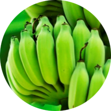 Zelené banány